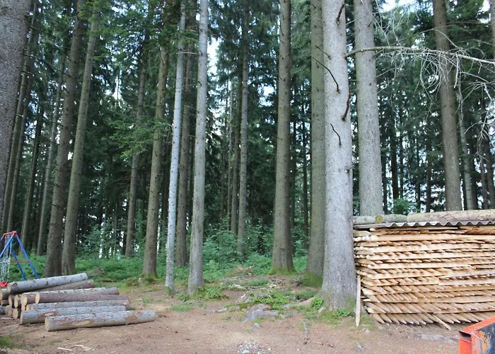 Chalet Nueschwendi